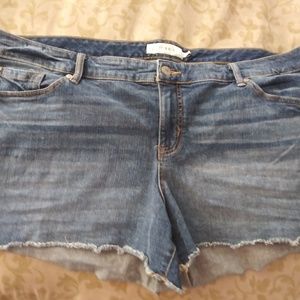 Torrid shorts size 24